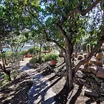 Teuccia Dependance - Costa Smeralda - *