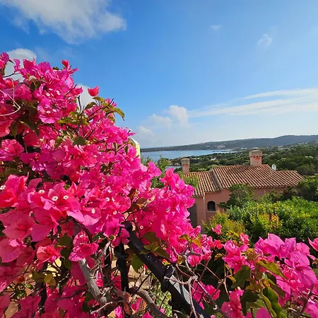 Teuccia Dependance - Costa Smeralda - Porto Cervo